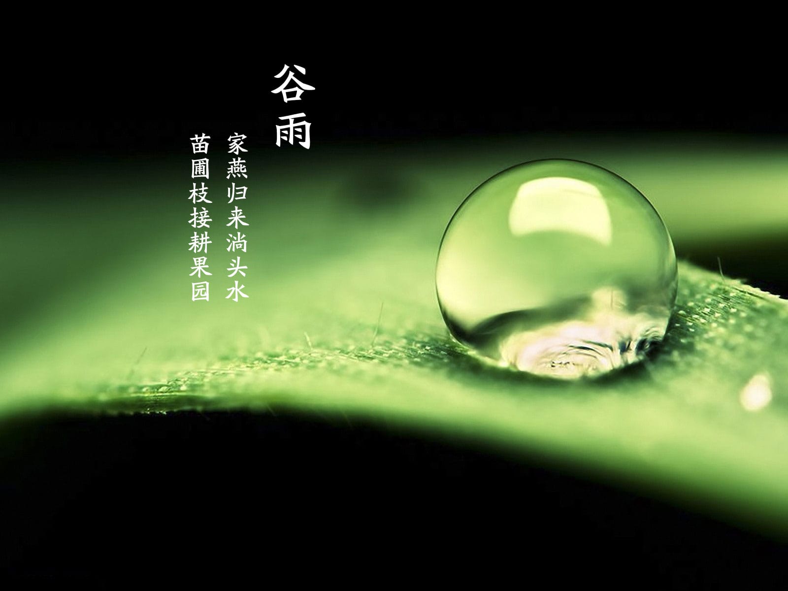 小熊洗车APP