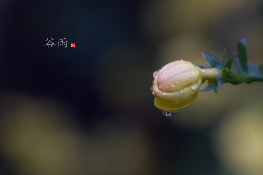 microsoft office2013完美版