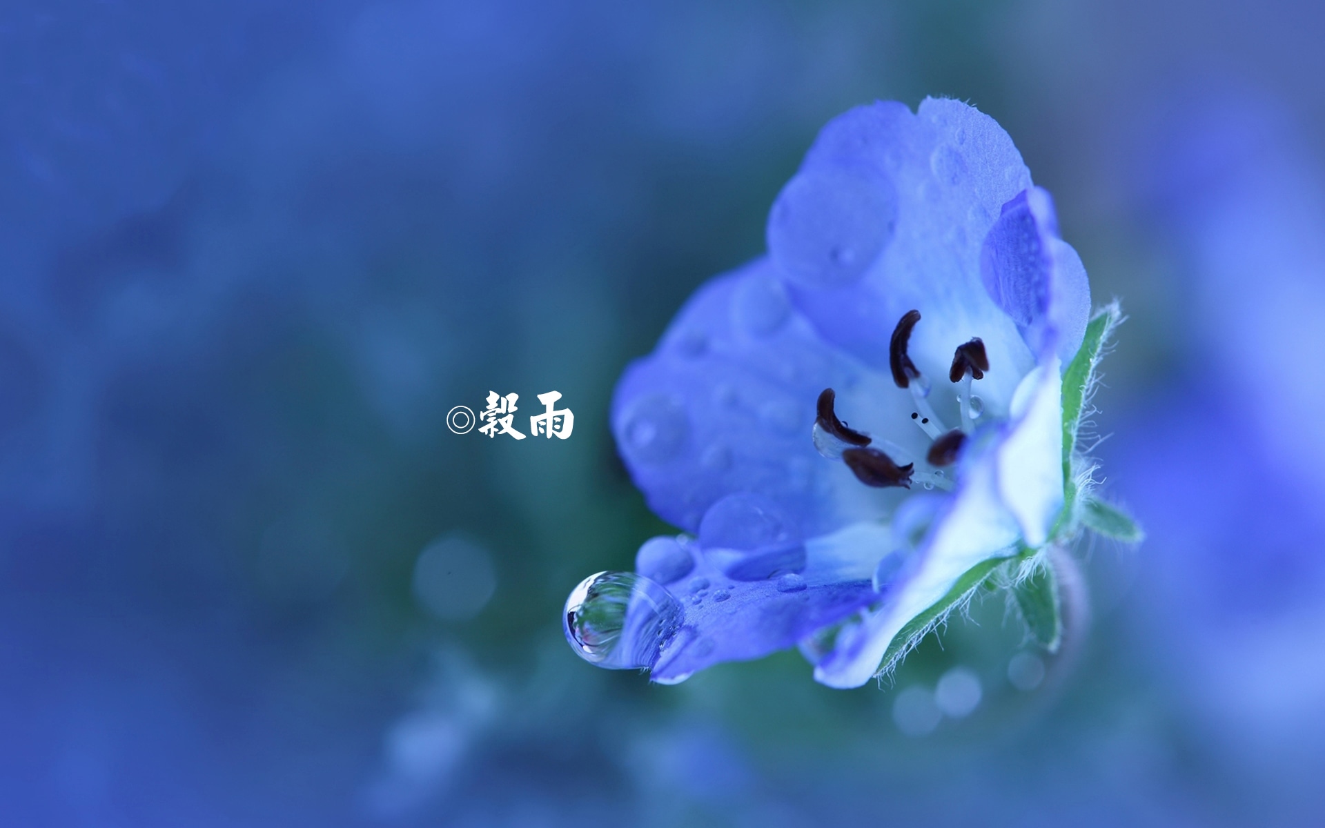 kaiyun体育手机登录2025最新版角色自定义界面