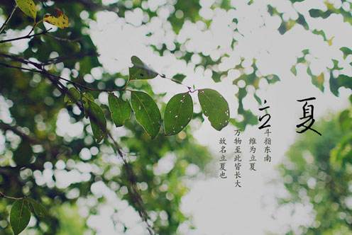河南汽车维修平台APP