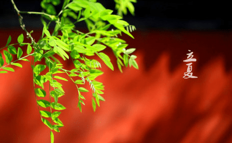 河南汽车维修平台APP