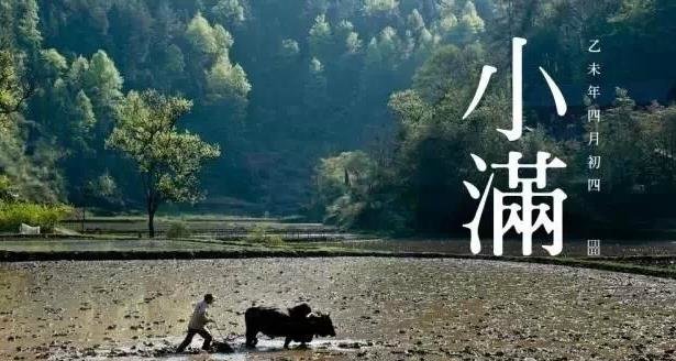 河南汽车维修平台APP