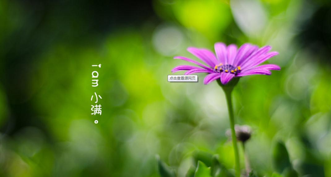 贵州药材APP