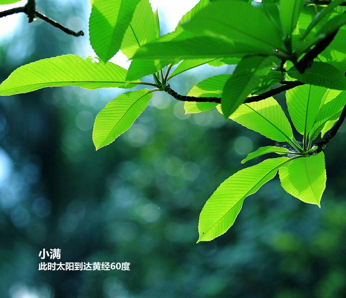 云鼎国际app