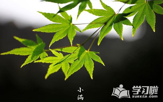 kokkokmoveV6.6专业版