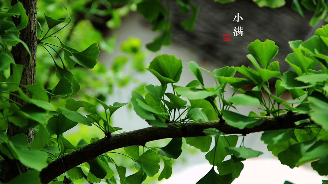 夏普ar-3818n/3821n驱动