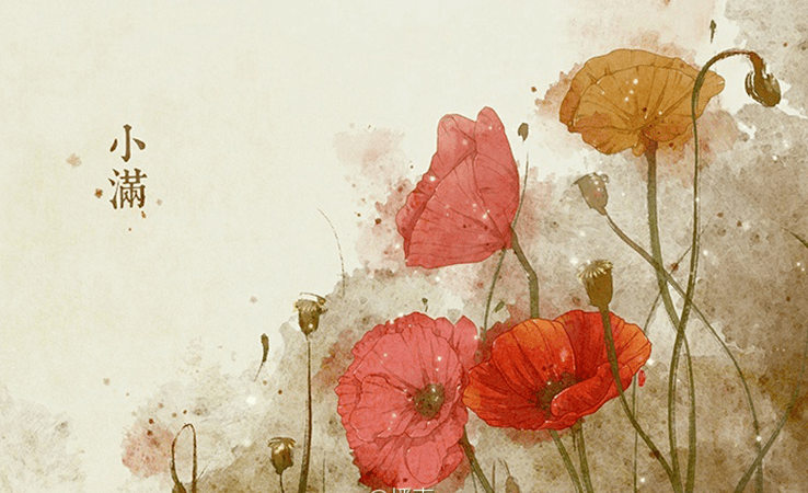 新万博体育客户端下载2025最新版秘境探索战斗画面