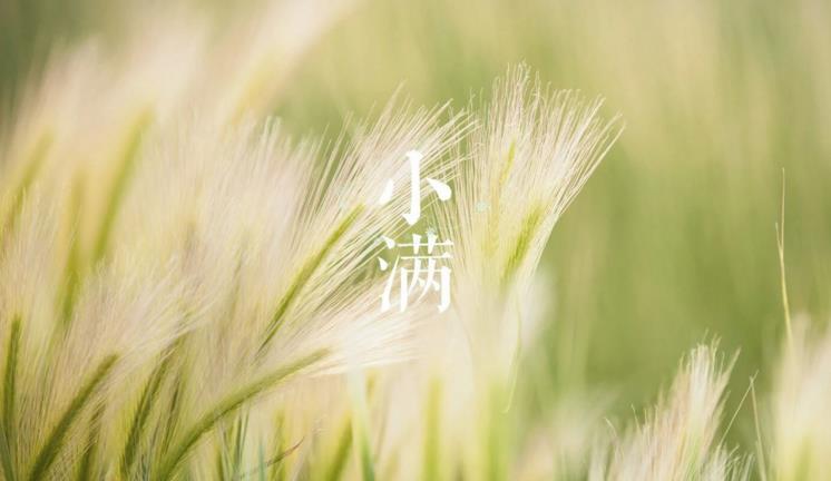 博奥入口安卓版二维码
