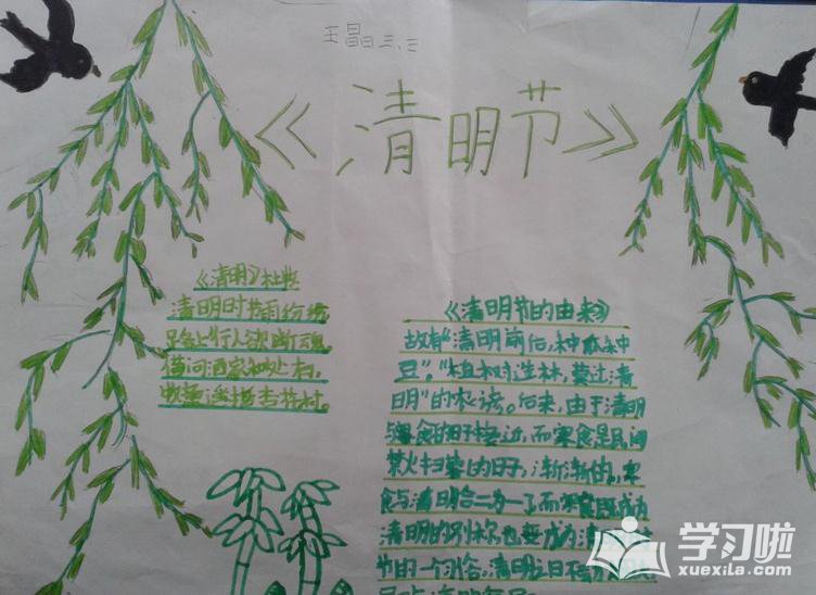 SD Formatter中文版(手机sd卡修复工具)