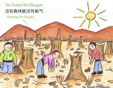 小熊洗车APP