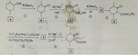优游appV2.1专业版