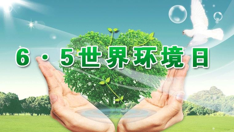 小熊洗车APP