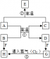msvcm80.dll文件