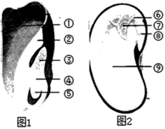 5168cc银河V3.8专业版