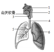 手机qq同步助手app