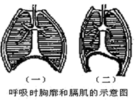 kaiyun体育下载方式安卓版二维码