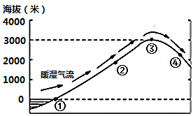 斗鱼appV6.5专业版