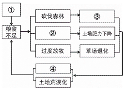 leyusports官网2025最新版主界面展示