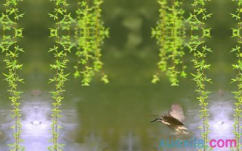 小心！大怪兽来了