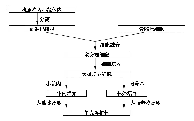 不义联盟:人间之神