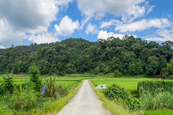 极品飞车：集结