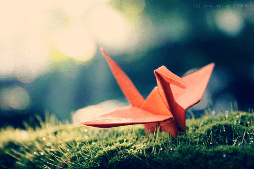 3377体育appV8.7专业版