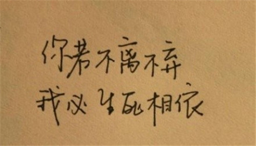 热博体育娱乐2025版玩家会议投票场景