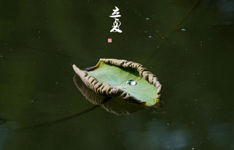 bitcomet win10(比特彗星)