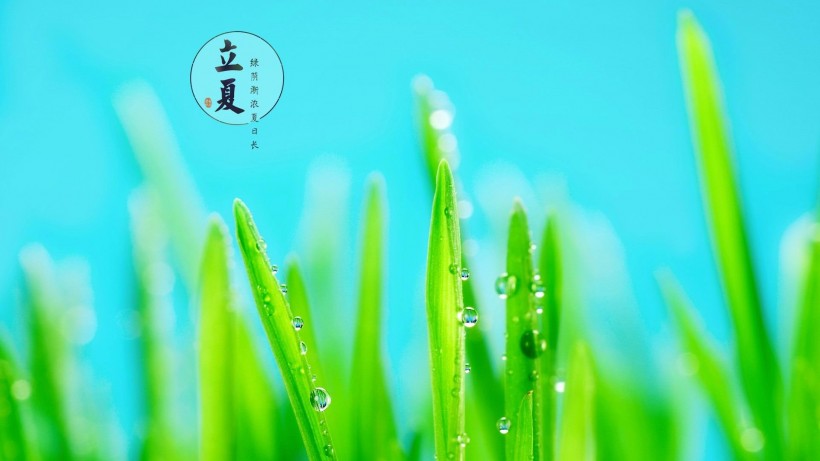 拉斯维加斯游戏app 2025最新版游戏全景地图与势力分布