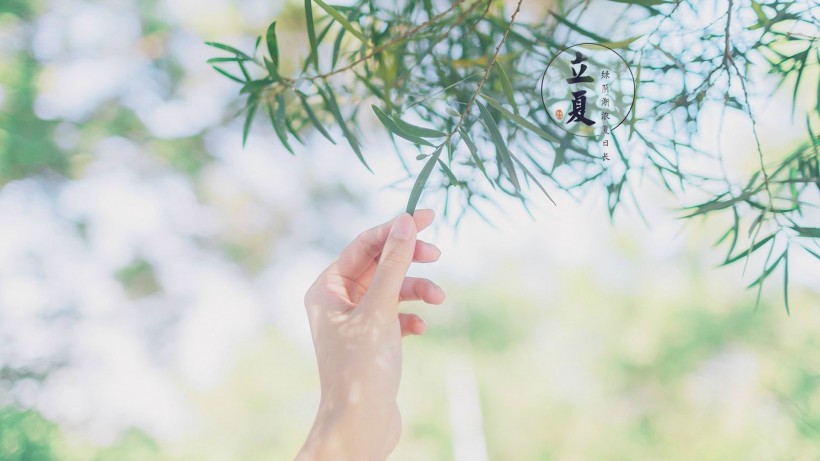 河南汽车维修平台APP