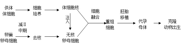 RankBet手机app下载