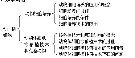 最佳球会入口V4.1专业版