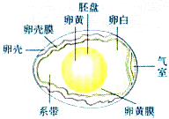 18lucky官网V8.5专业版