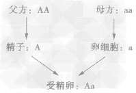 55bttappV5.7专业版