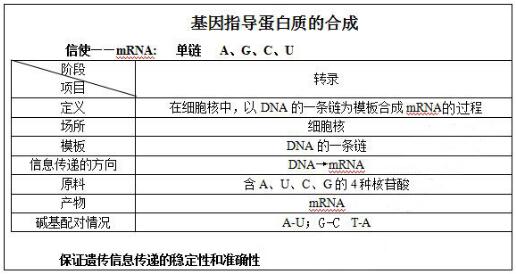 仙道奇侠传