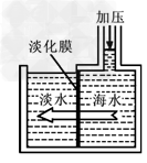 国际人appV2.9专业版