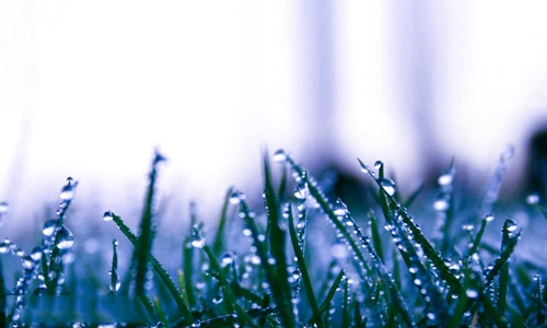 kaiyun体育官网登录验证方式V2.2专业版