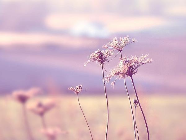 河南汽车维修平台APP