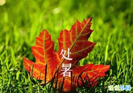 开云kaiyun官网最新动态安卓版二维码