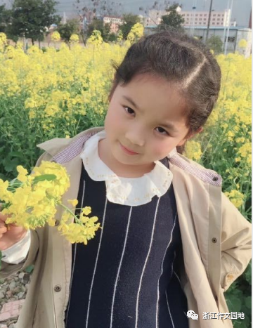 个体富进销存专业版