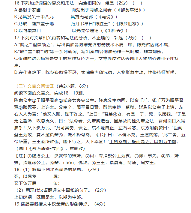 孤胆车神：维加斯