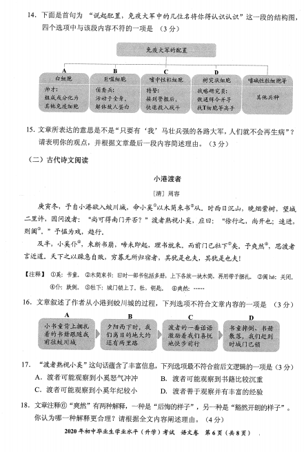 开云kaiyun官网最新动态