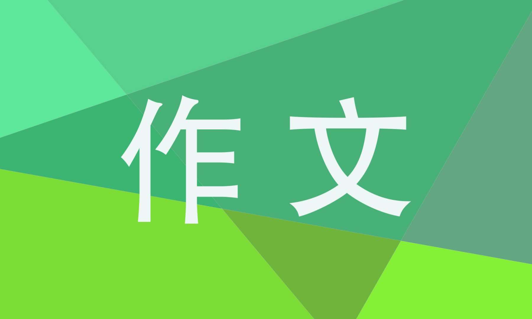 真钱appV9.9专业版