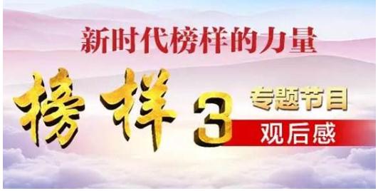 贏多多网页版V5.1专业版