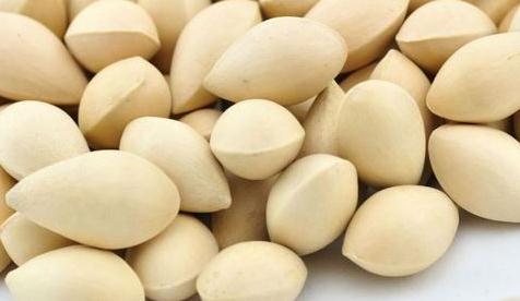 高达进化2025版账号与数据管理界面