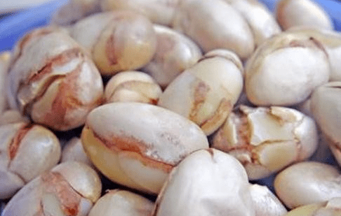 威尼斯澳门人appV2.5专业版