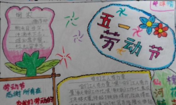 77体育入口V5.1专业版