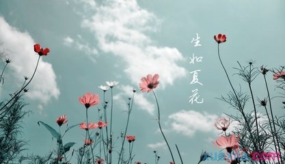 迷你摩托车挑战赛