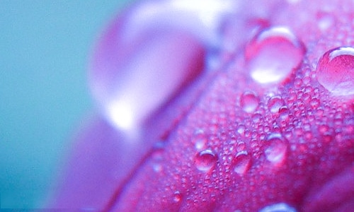 河南汽车维修平台APP