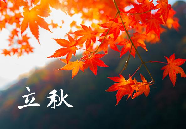 河南汽车维修平台APP